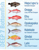 New25 California Tuna Starter Jig Kit JIG (7)w/Free Jig Bag - Casting Fish & Slow Pitch JIGS -Salt water