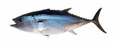 Tuna Time Glow Jig 250gms 8.8oz RIGGED- Vertical Jig-Salt water