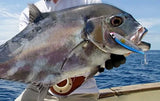 New 26  Viper 7inch 60gms Floating flash stickbait