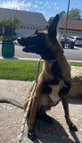 4ft or 15ft K-9 dog slip leash /Training leash ( 3/8 thick Static climbing cord)g -USA made
